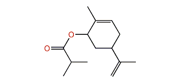 Carvyl isobutyrate